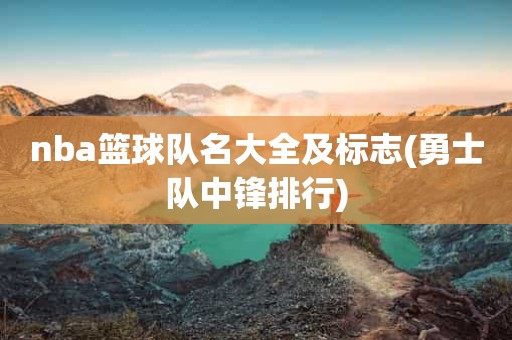 nba篮球队名大全及标志(勇士队中锋排行) nba篮球队名大全及标志(勇士队中锋排行)