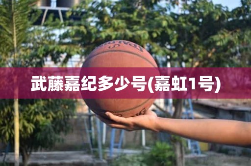 武藤嘉纪多少号(嘉虹1号) 武藤嘉纪多少号(嘉虹1号)