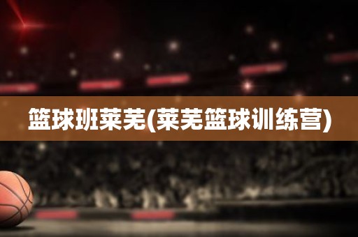 篮球班莱芜(莱芜篮球训练营) 篮球班莱芜(莱芜篮球训练营)