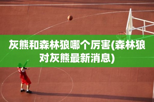 灰熊和森林狼哪个厉害(森林狼对灰熊最新消息) 灰熊和森林狼哪个厉害(森林狼对灰熊最新消息)