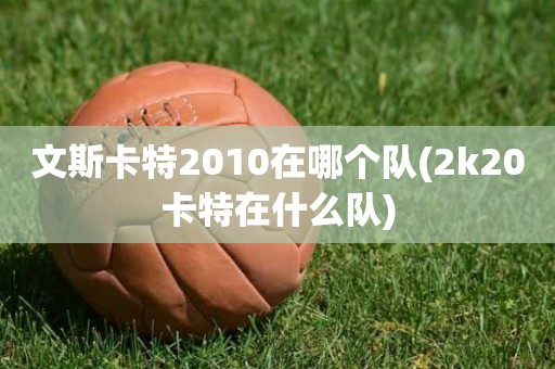 文斯卡特2010在哪个队(2k20卡特在什么队) 文斯卡特2010在哪个队(2k20卡特在什么队)