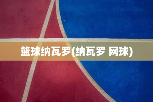 篮球纳瓦罗(纳瓦罗 网球) 篮球纳瓦罗(纳瓦罗 网球)