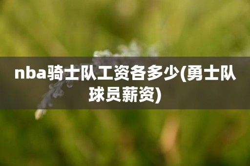 nba骑士队工资各多少(勇士队球员薪资) nba骑士队工资各多少(勇士队球员薪资)