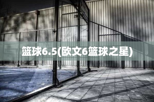 篮球6.5(欧文6篮球之星) 篮球6.5(欧文6篮球之星)