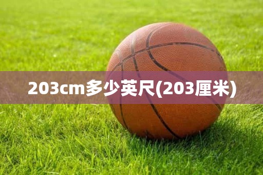 203cm多少英尺(203厘米) 203cm多少英尺(203厘米)