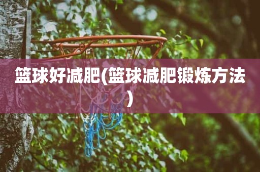 篮球好减肥(篮球减肥锻炼方法) 篮球好减肥(篮球减肥锻炼方法)