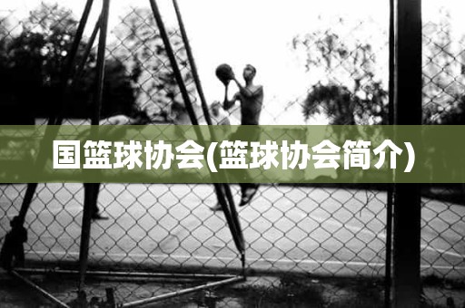 国篮球协会(篮球协会简介) 国篮球协会(篮球协会简介)