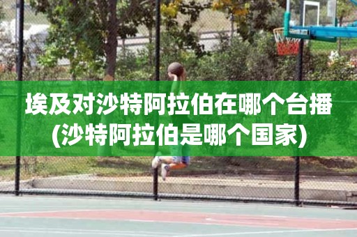 埃及对沙特阿拉伯在哪个台播(沙特阿拉伯是哪个国家) 埃及对沙特阿拉伯在哪个台播(沙特阿拉伯是哪个国家)