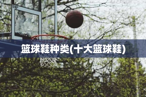 篮球鞋种类(十大篮球鞋) 篮球鞋种类(十大篮球鞋)