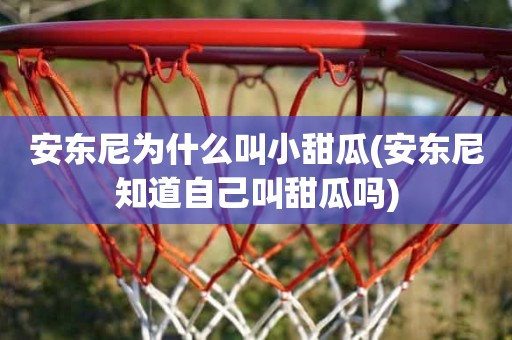 安东尼为什么叫小甜瓜(安东尼知道自己叫甜瓜吗) 安东尼为什么叫小甜瓜(安东尼知道自己叫甜瓜吗)