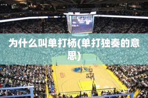 为什么叫单打杨(单打独奏的意思) 为什么叫单打杨(单打独奏的意思)